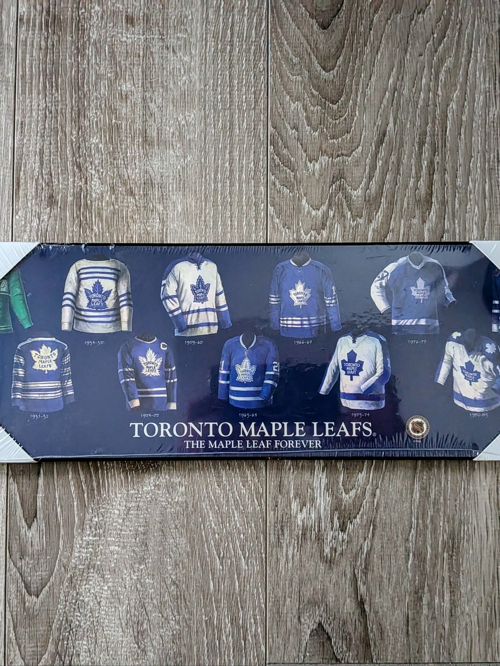 Toronto Maple Leafs Wall Art | Framed Jersey Evolution Print | NHL Fan Decor 💙